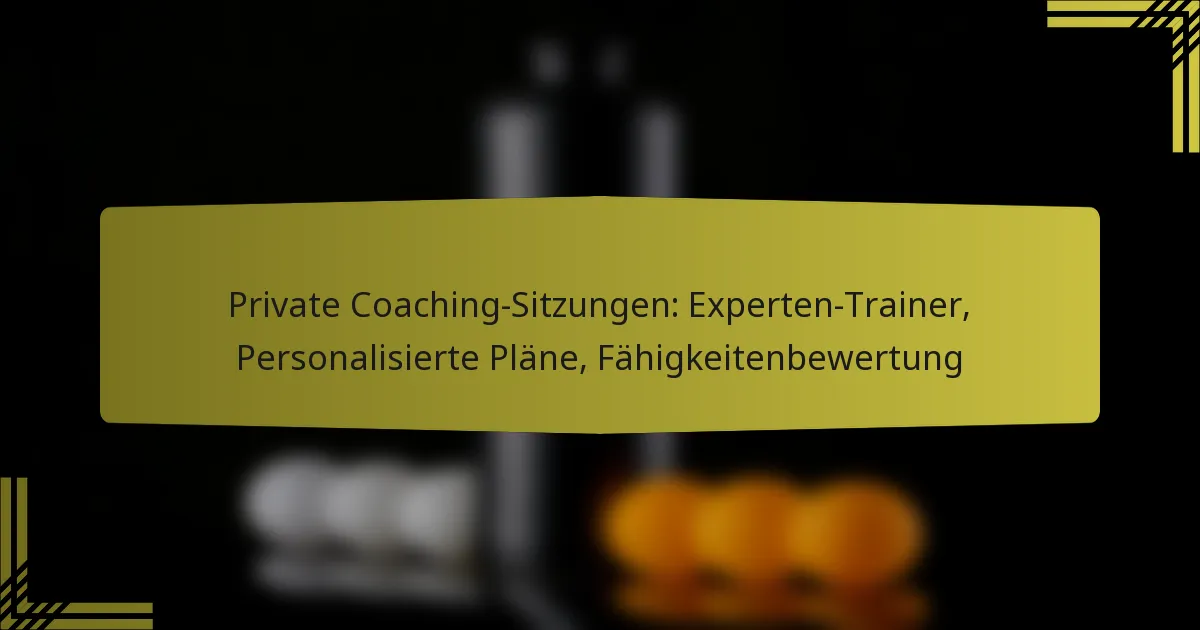 Private Coaching-Sitzungen: Experten-Trainer, Personalisierte Pläne, Fähigkeitenbewertung