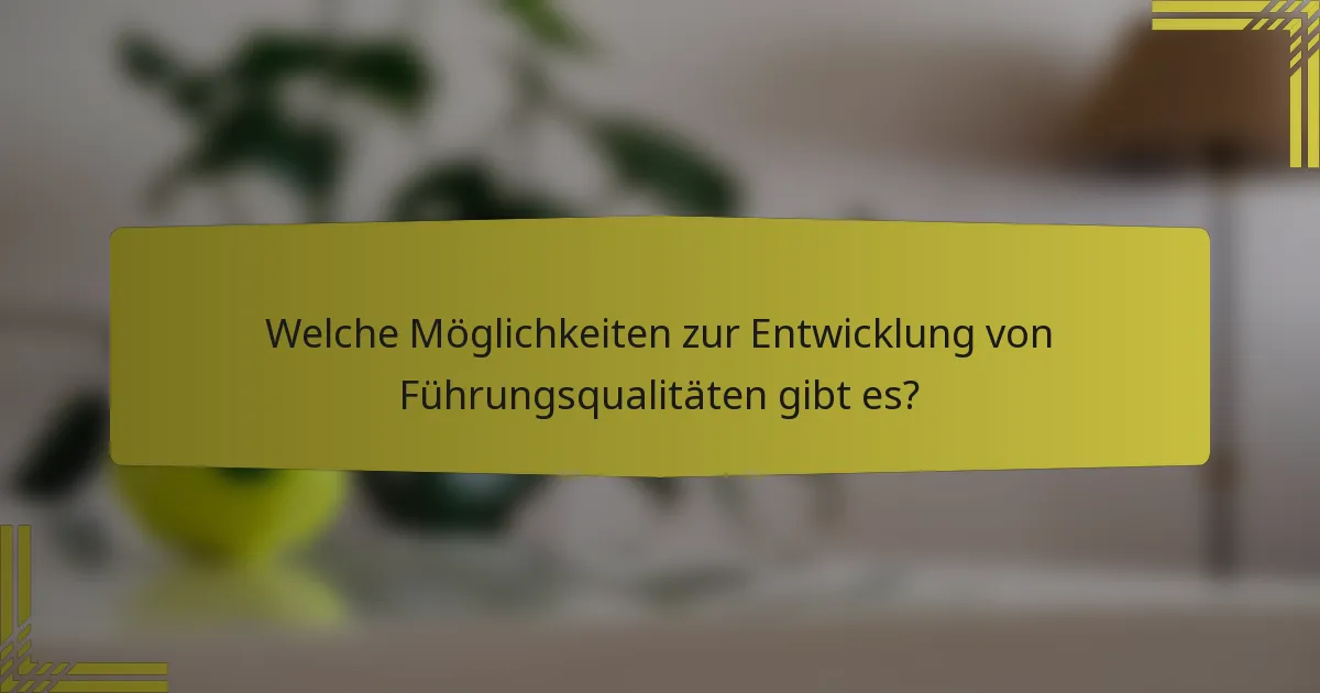 Welche Möglichkeiten zur Entwicklung von Führungsqualitäten gibt es?